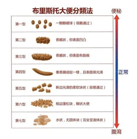 大便的好處